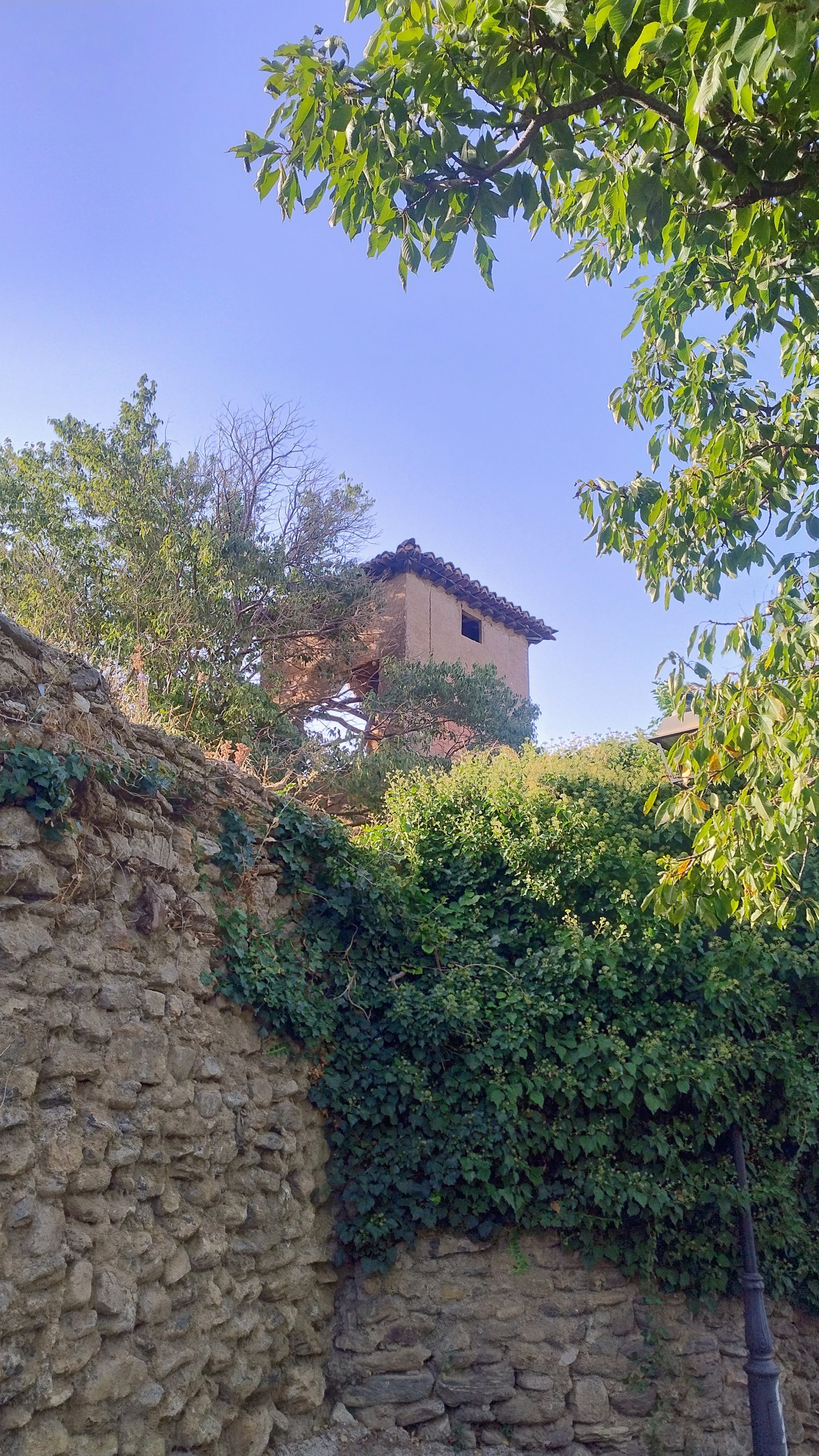 Molino de torre del Pago del Olivón, sin restaurar
